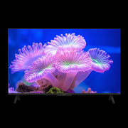 送价值249元的回音壁 